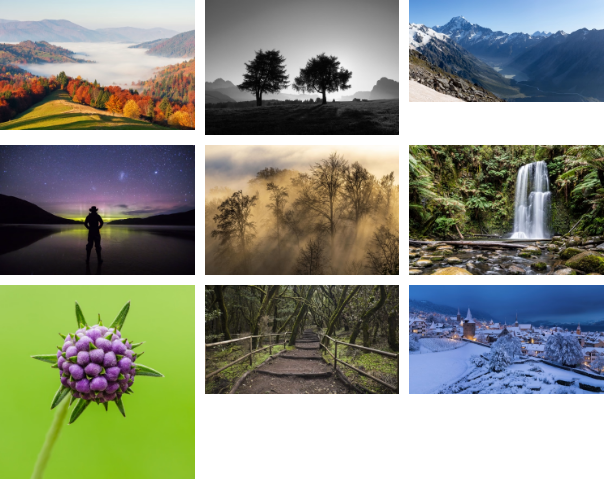 Grid layout