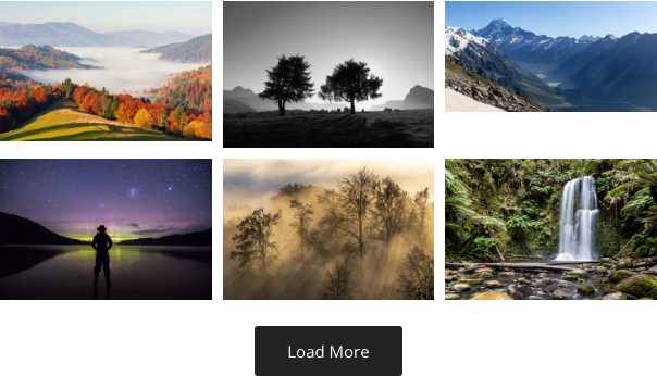 Load More button
