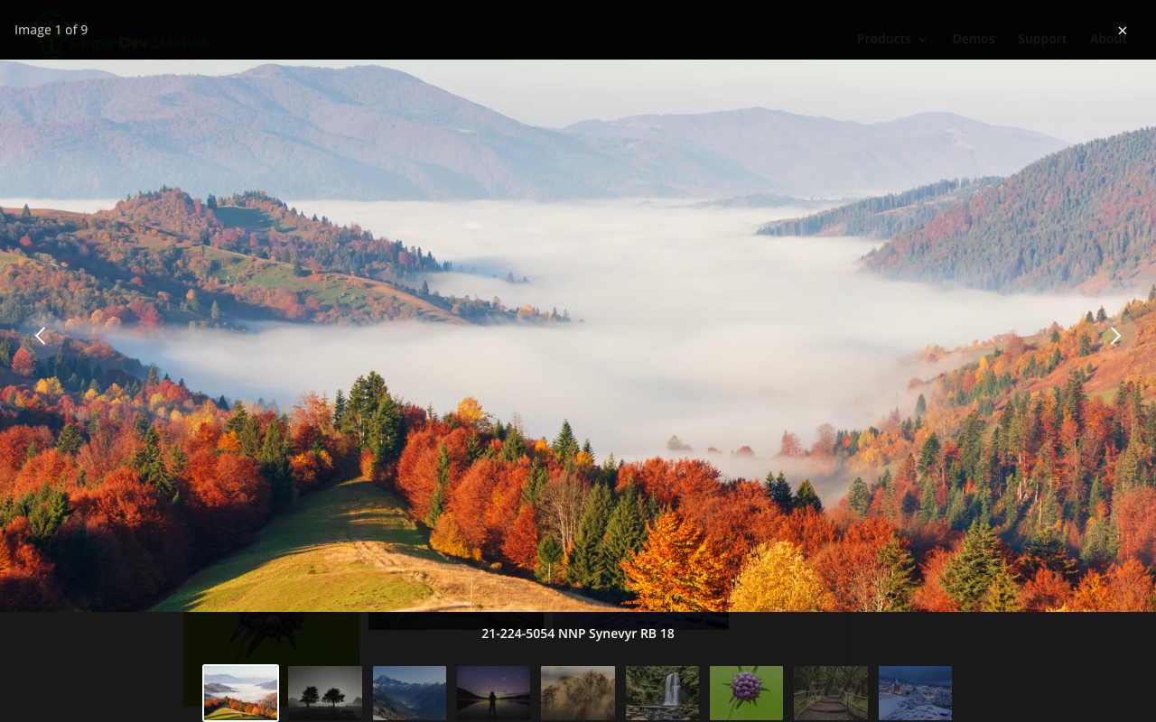 Lightbox open with thumbnail strip